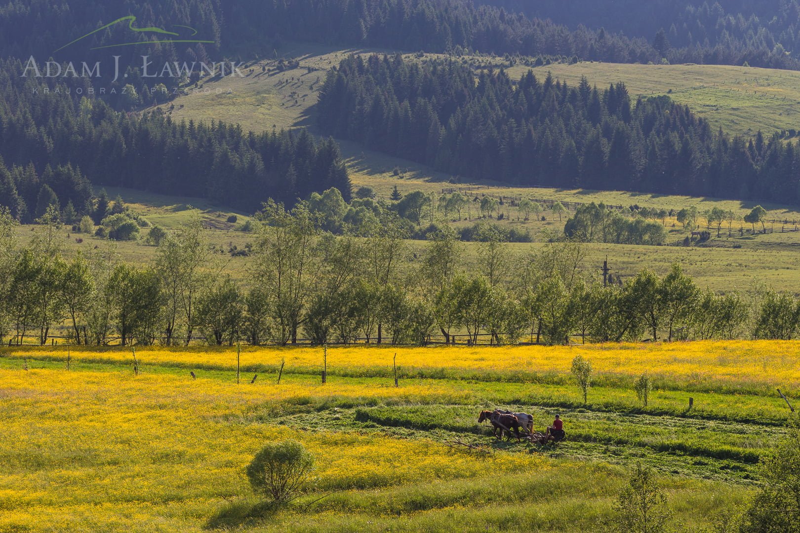 Ukraina 1506-00729C