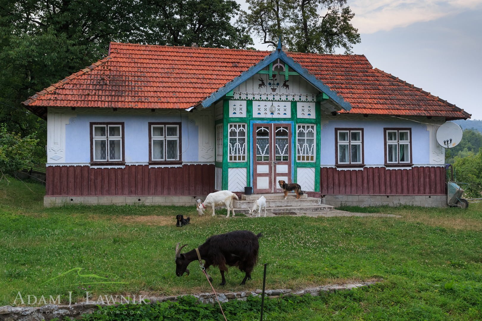 Ukraina 1607-00849C