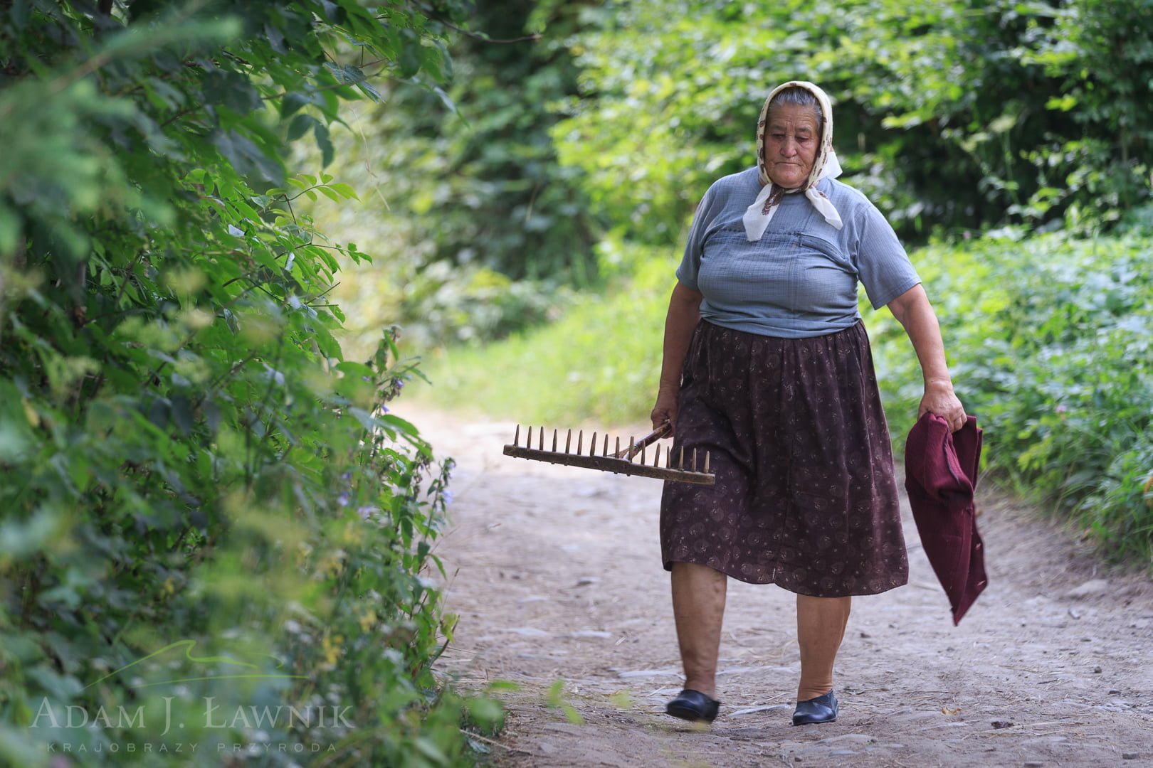 Ukraina 1607-00854C