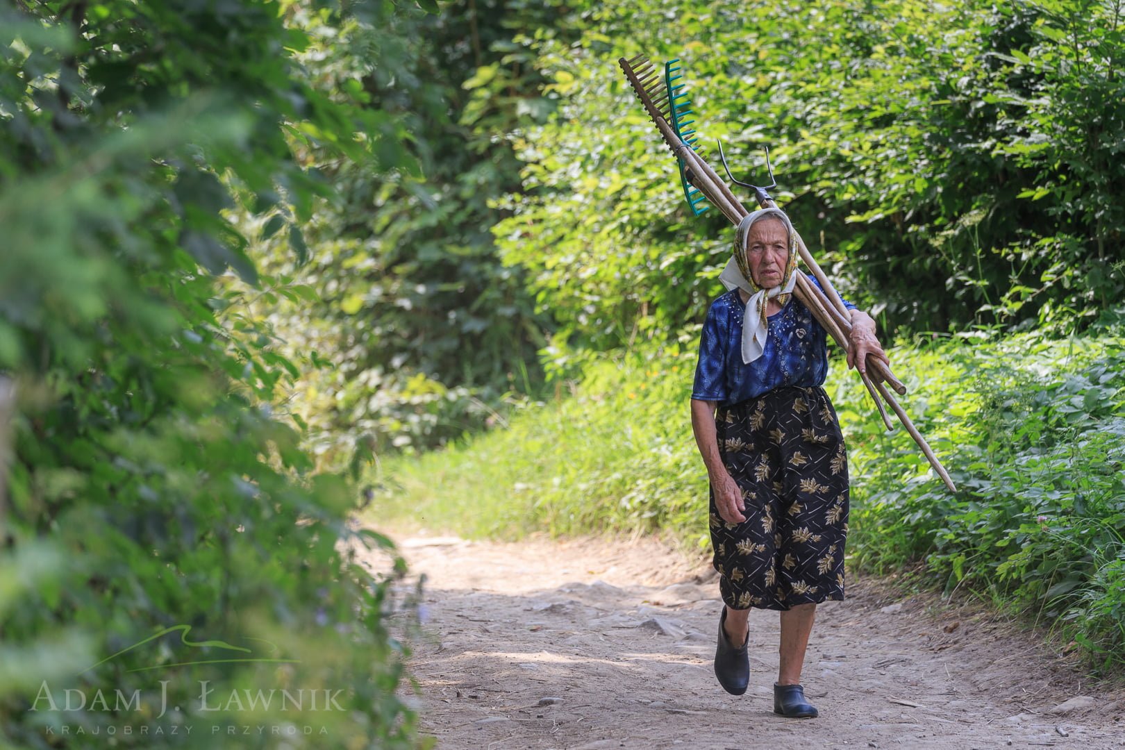 Ukraina 1607-00855C