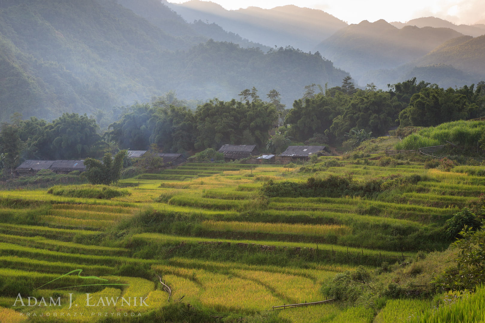 Vietnam 0909-01220C